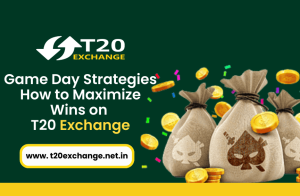 How to Maximize Wins on T20 Exchange